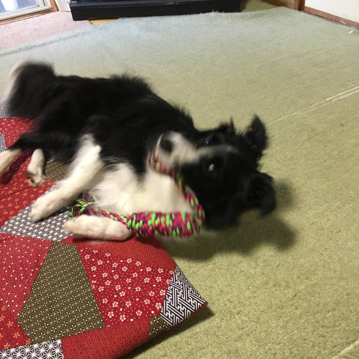 71d5b08e b73c 486d a21f ad809cba3d09 1513047866648