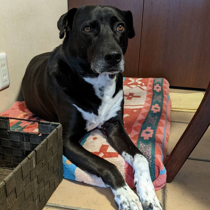 71d5bd51 cd06 4e92 8e2a 78bf904b55b5 1655168247403