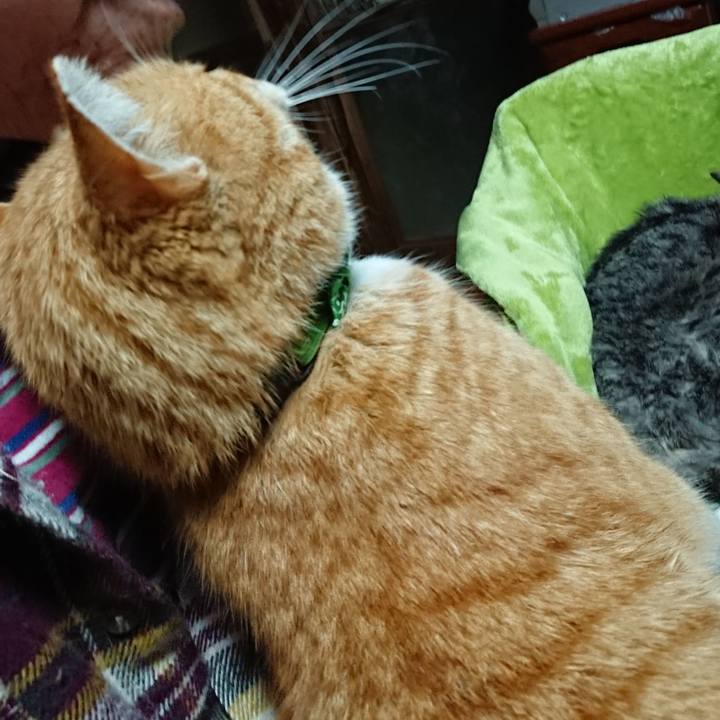 71d60439 9215 419a 8677 f1eb7d28376f 1582359532262