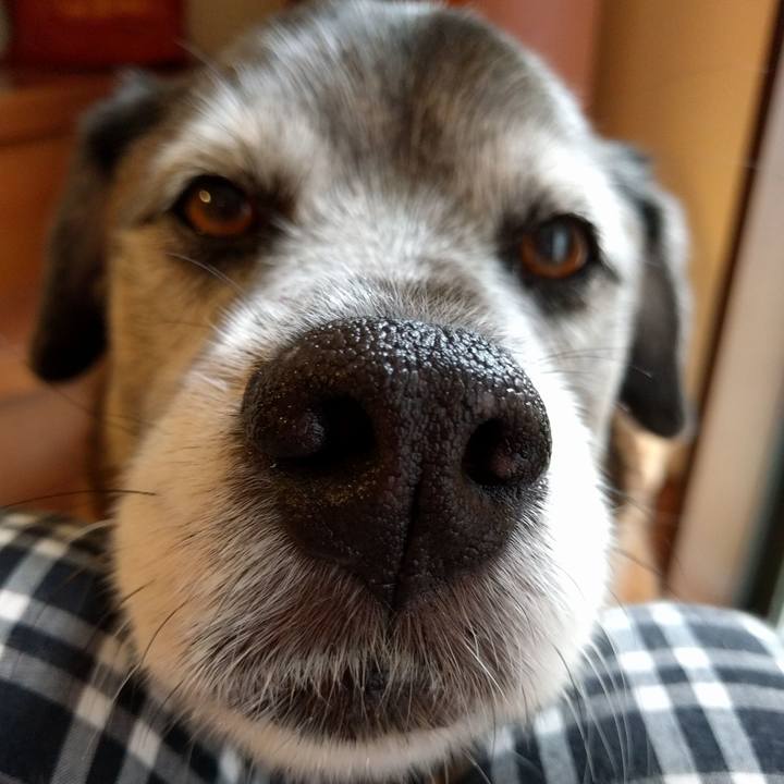 71d61b8f 9907 40c2 ad27 b9103bc00bfe 1553466587382