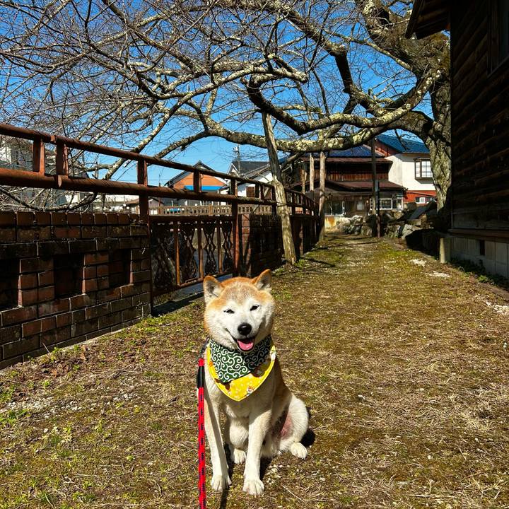 71d6447e dbc1 4bff 8575 6c8cf150cee5 1772356508690