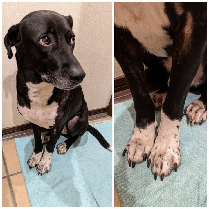 71d64a54 d67f 4933 bf86 3c8f6a7c305c 1644318579504