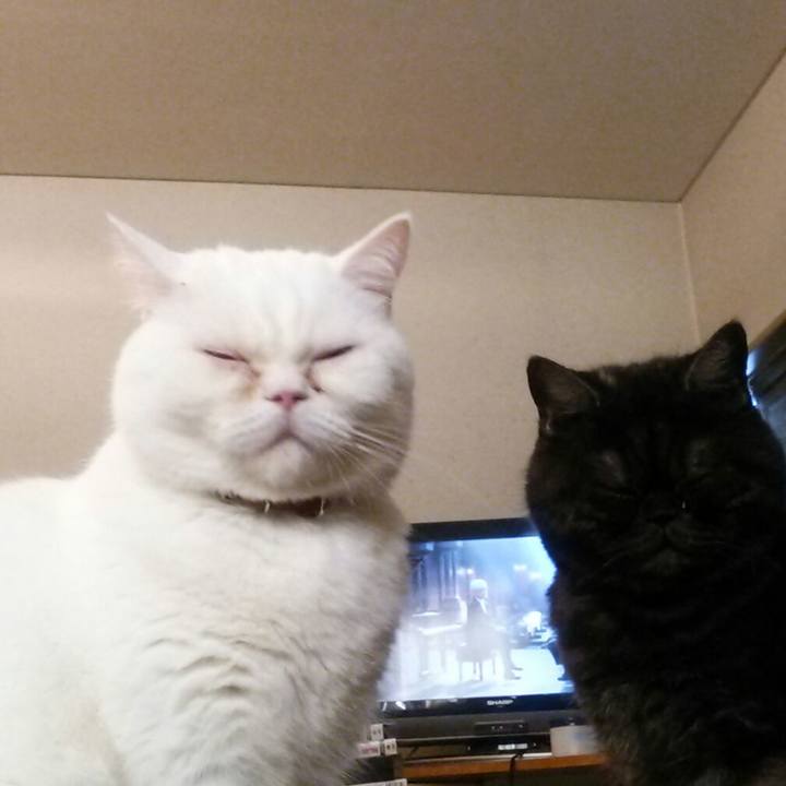 71d68a07 bfcc 48cd b496 995513d91062 1515453064685