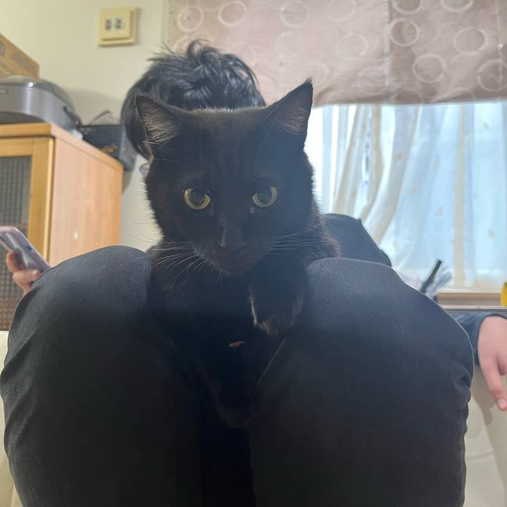 71d6c34e 31ab 4659 b12f 3ef2c378e5d1 1706442843587