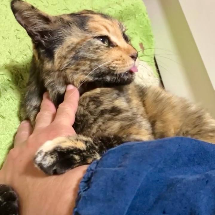 71d6f4e8 3c89 4a28 bef7 d11227e98873 1740688878389