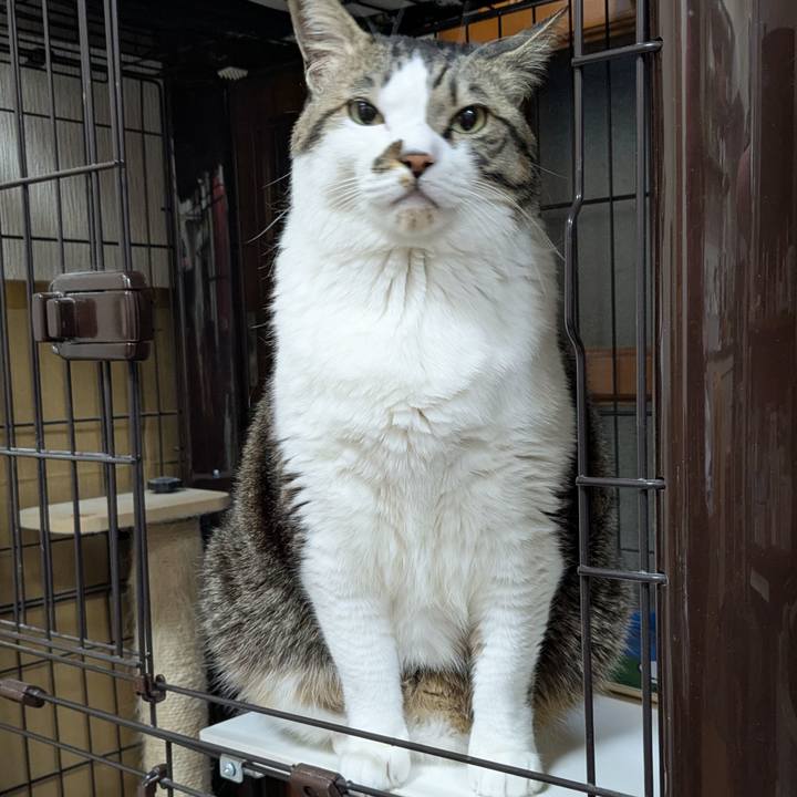 71d7218e e4d2 43bc a249 43f9c3ae07ef 1769351394538