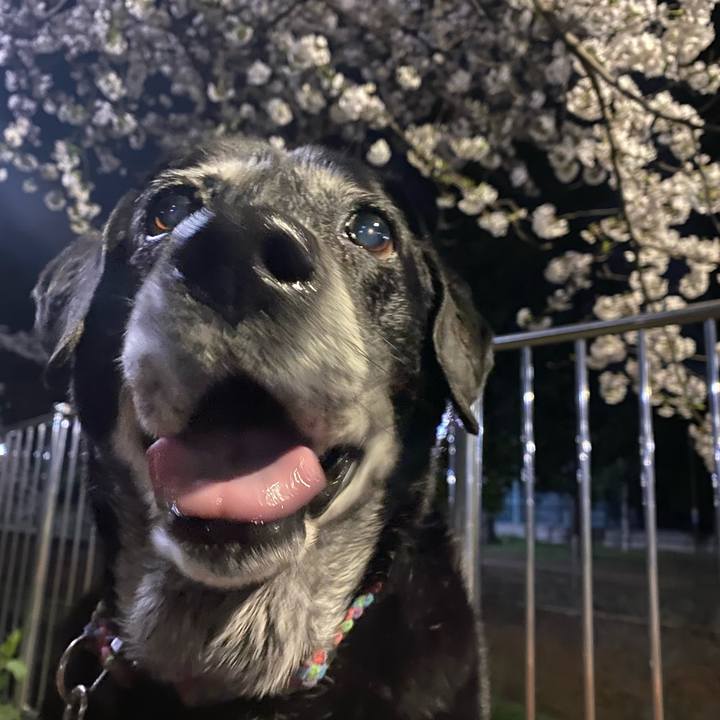 71d7a19b 46e8 4535 8d33 b7cc6a962b3c 1712500233874