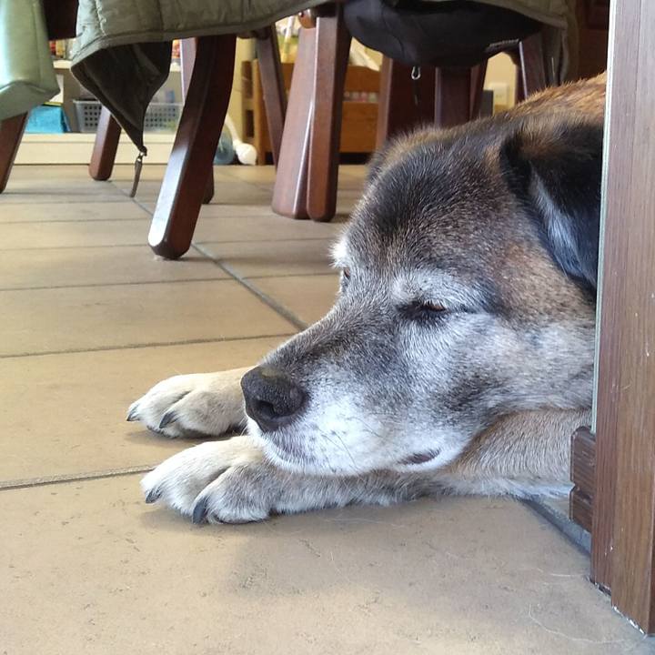 71d7a847 8035 4a05 ae3d 37e700cef71b 1548732835654