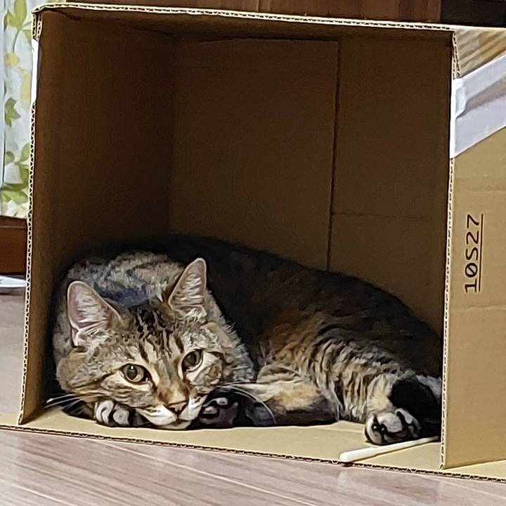 71d7bfd9 b2af 4e83 b9a5 d075326c51cd 1763464524640