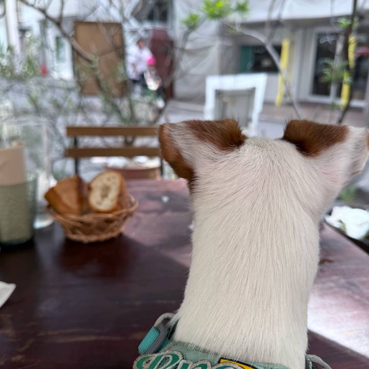 71d7f0d2 2357 4e14 b6b2 3937ef15fa4d 1760444962182