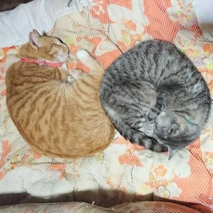 71d7fab3 3d32 439f ba11 4175d6a87a1f 1570454417078