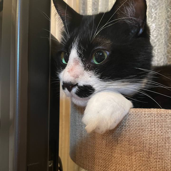 71d80c32 435b 4a35 984e c1d38af3e8e4 1744119324135