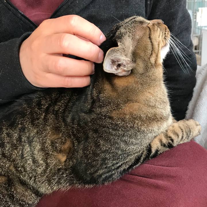 71d80e76 693e 4249 8aca fcbfe30f5b0f 1518658119788