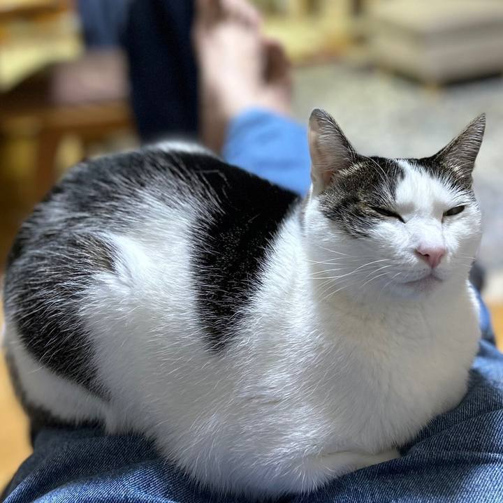 71d8539d ed8d 4154 93b7 ef399def1f61 1713878391257