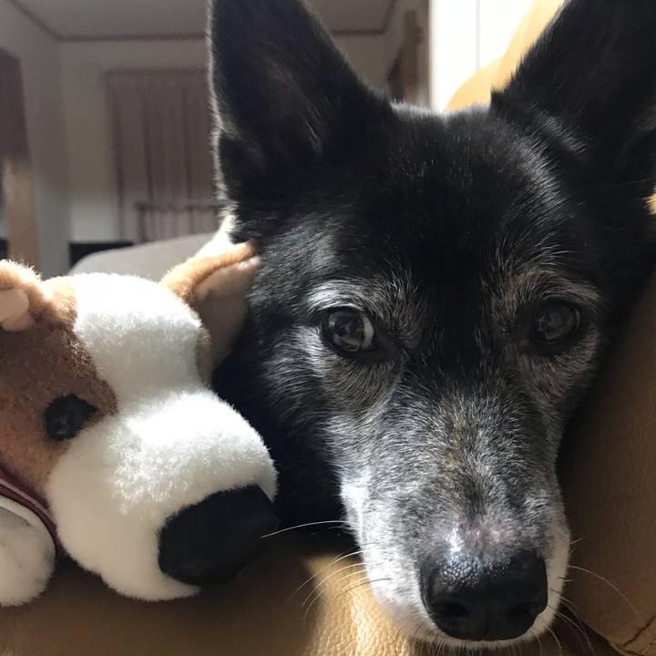 71d861f6 6bbf 46be a698 9d5c23fd6df8 1614576506955