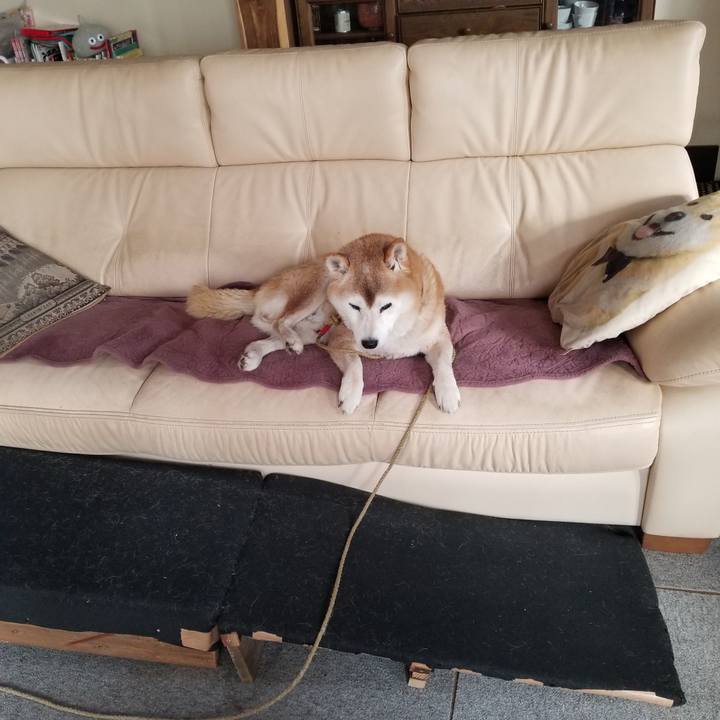 71d865f5 e5e2 44ea 8ceb d0b50ecb23a7 1733098752292