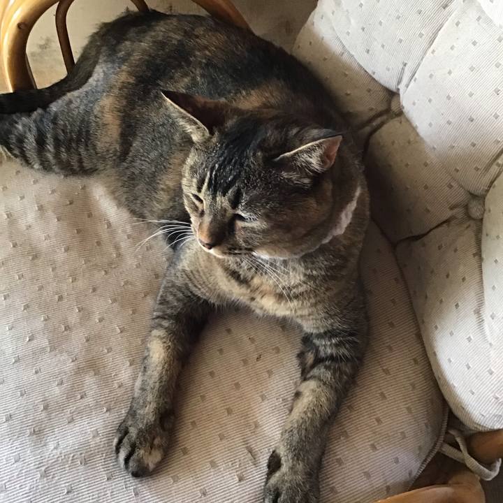 71d89150 955e 4492 80a1 7eeaf326433f 1756535900900