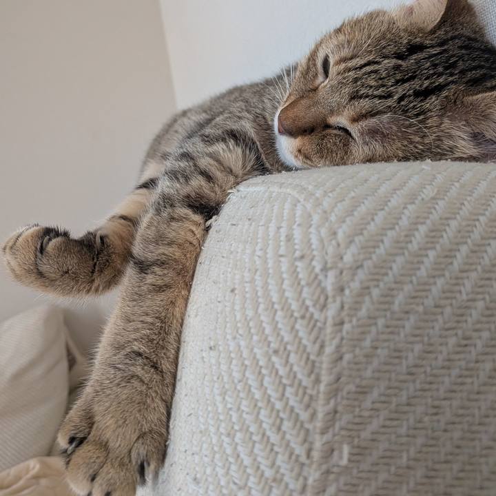 71d8975e 4ab9 40e3 9446 ae5a974ffe22 1762042201046