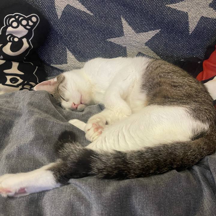 71d91667 5b10 48b5 a471 778be824f79e 1627211700498