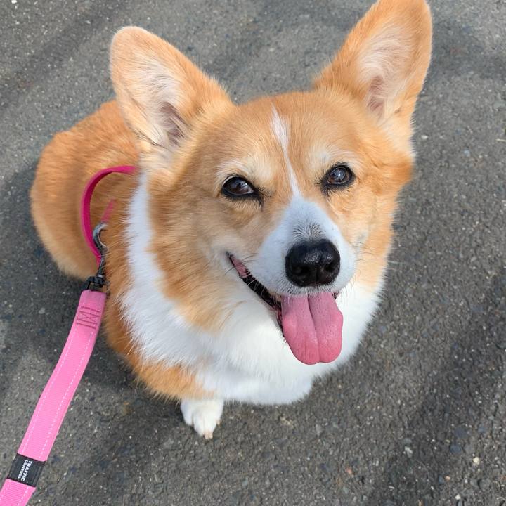 71d965de b847 4bb7 8cbd 61d389a8dbb4 1708399368521