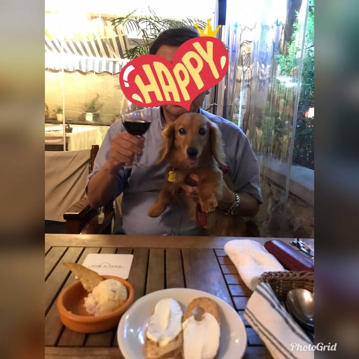 71d97042 7636 4677 a97a 01b47e3ac68b 1563587233951