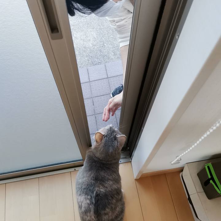 71d9738f 4046 4a3d b39a 81b233cd4829 1601987758922