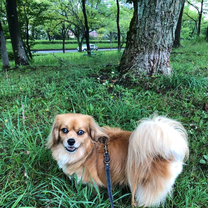 71d9851f 02fd 4c6d 8f46 51a038589054 1562374441586