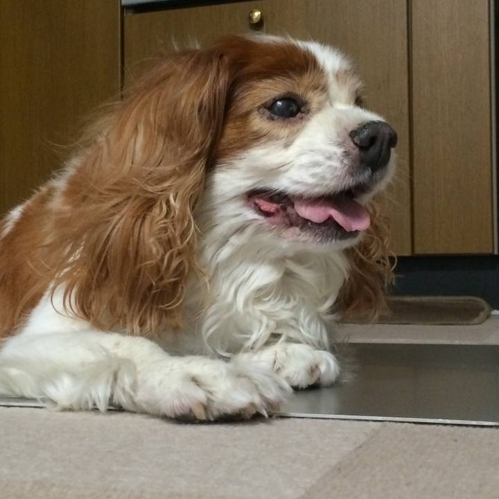 71d9a252 8baa 4214 8e87 0a961bf7f227 1516249580199