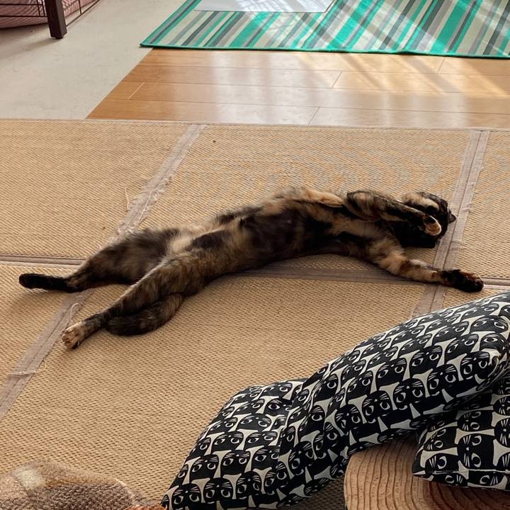 71d9ad64 44e7 4800 815b 4a5d06af54c7 1598788427533