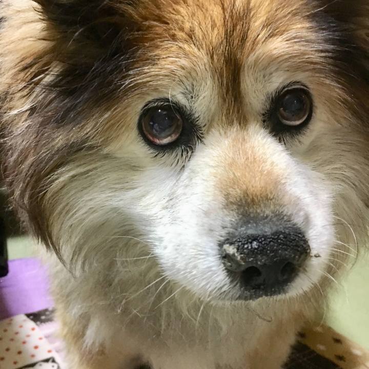 71d9caad 5185 403b a8a1 2702d3cda37a 1562402889493