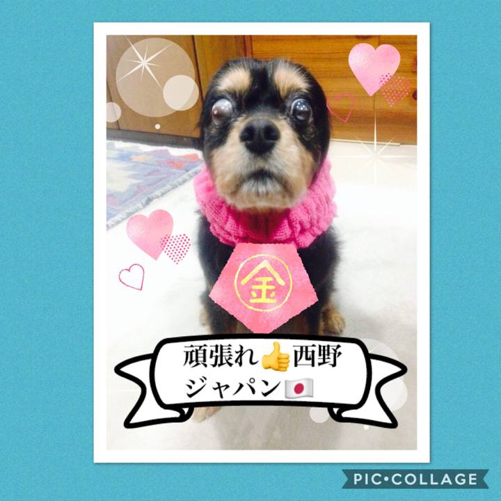 71d9f28e 68e8 4927 bb86 4486889dca55 1529828684347