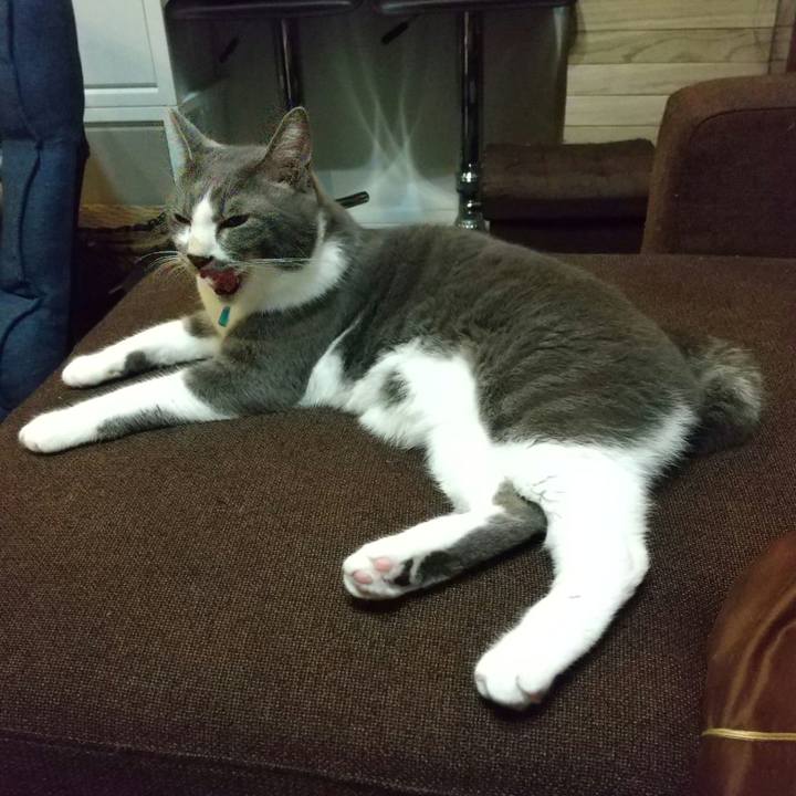 71da7bf8 5943 4f92 81f0 2636e5c8d8ea 1634212029801