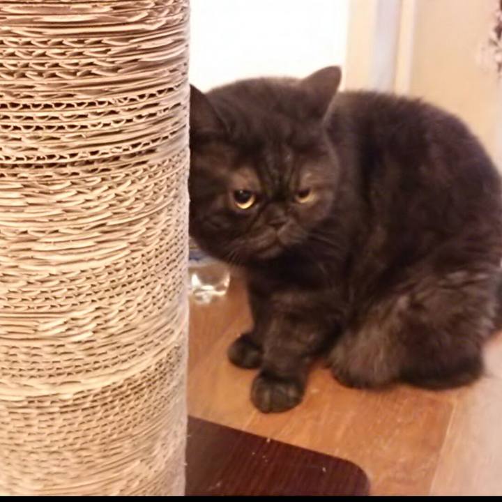 71da7f40 19f2 4357 afdd ca20ec098b77 1723461380524