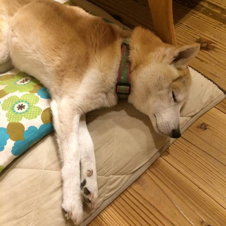 71da80f4 2691 46ad 89b7 7499955adda4 1564411357350