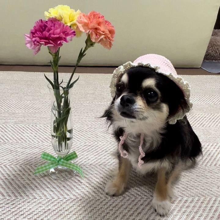 71daa598 933c 4923 aea9 ee6e71d1fdf0 1684059312927