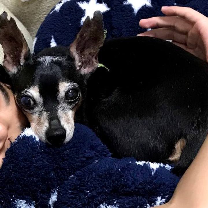 71daabbf e06b 4032 a6d8 e97bceb55b60 1570240670248