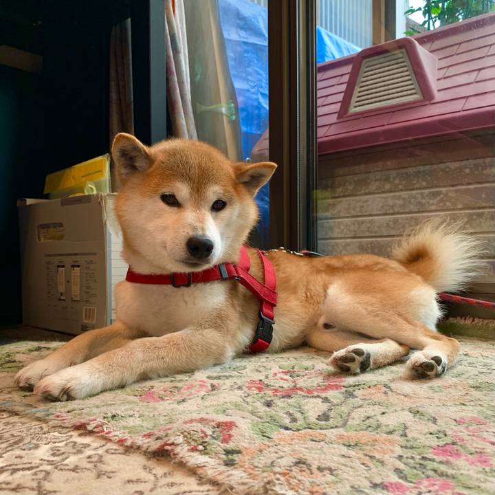 71dab87d 0af1 407c aeb0 1aa4cd534dfd 1621581492224