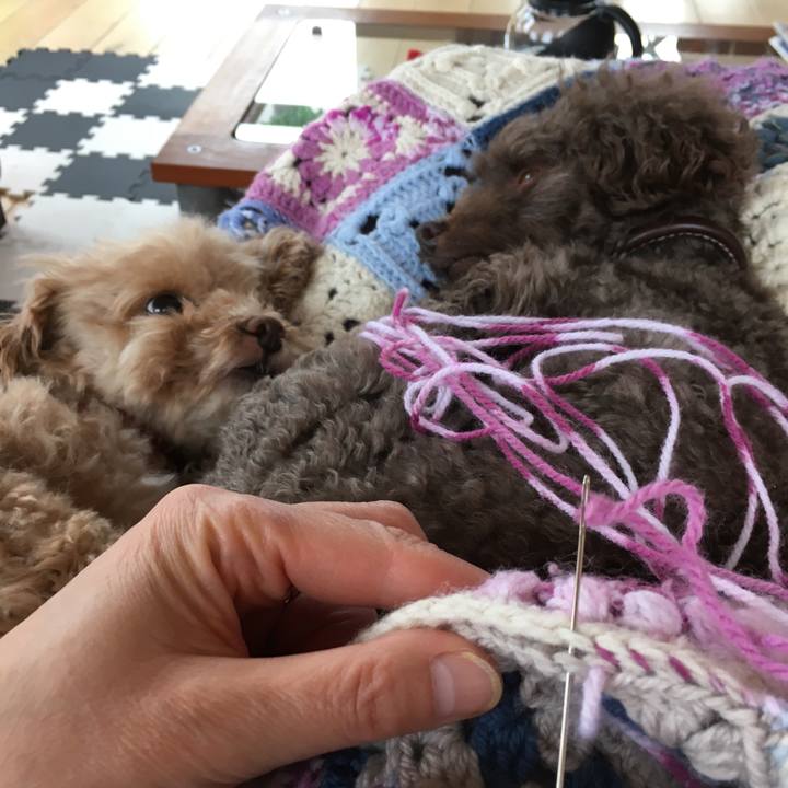 71db0771 140c 44cd be8a ffc96e4fbad3 1584723385063