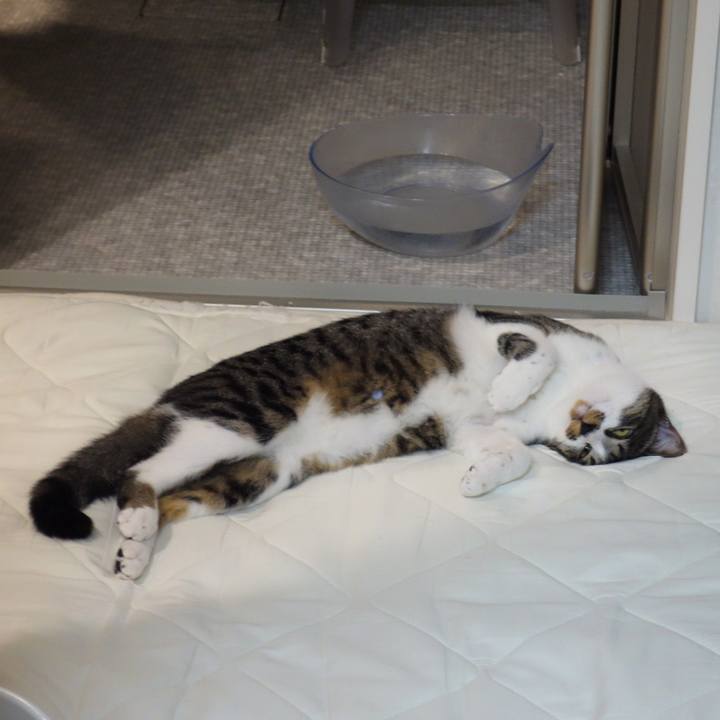 71db2770 d054 47c5 bafb 2fe03a175ee5 1759046752012