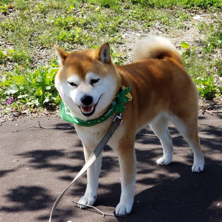 71db2d68 b53c 4e6e 8ca9 b88282b65a8f 1556770626346