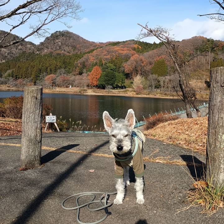 71dba110 1fde 4c9a 8389 ba93d3caa877 1764936780781