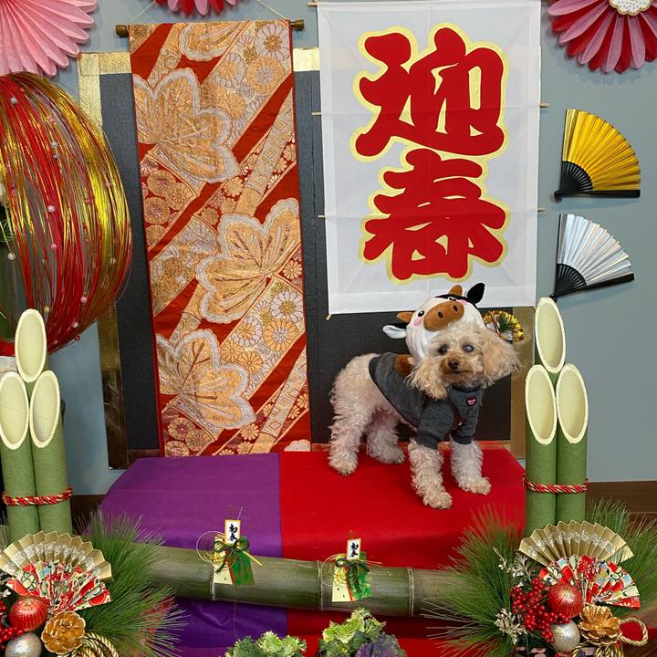 71dbd193 f037 49cc bbe5 4f710ba96c71 1609460927842