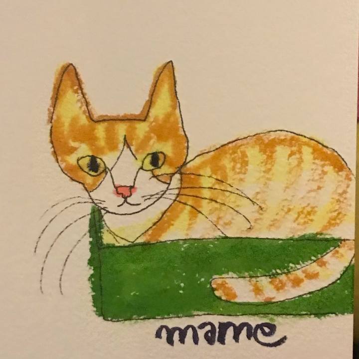 71dbd73f 8707 459c bc62 c1d311e6e641 1572838292199