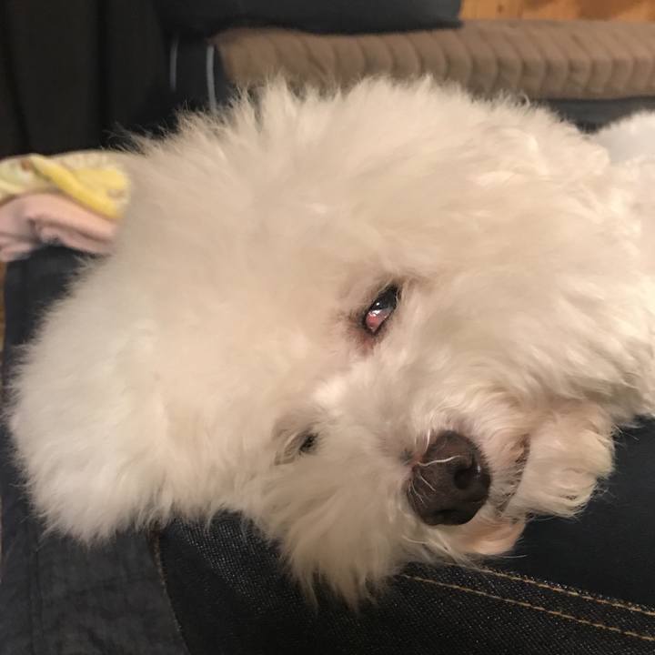 71dbe290 b781 4319 932c 7cb36adae7ac 1540893284676