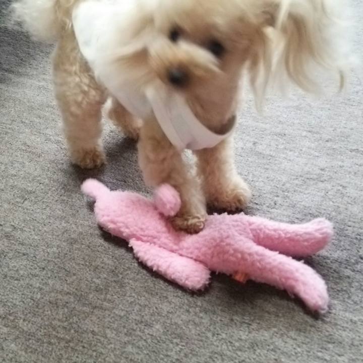 71dbef92 6bec 4627 bc12 253c9bccc6d2 1531984949870