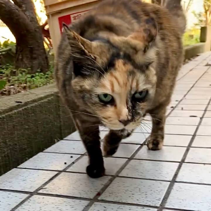 71dbf9af e8d0 43c1 82bf 685a4e2359c3 1737597003880