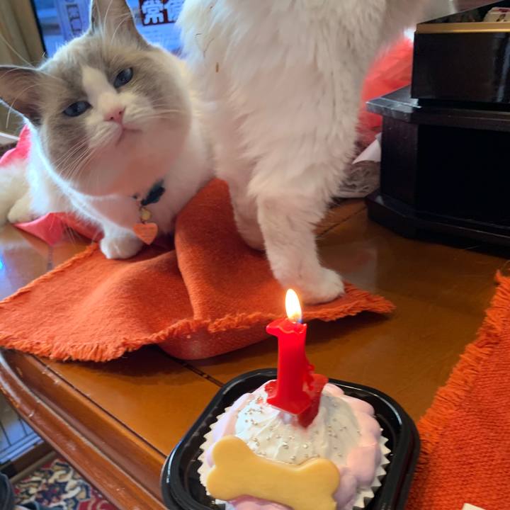 71dbff74 3efc 4acd b4a8 8b3a8a761dfa 1641020194219