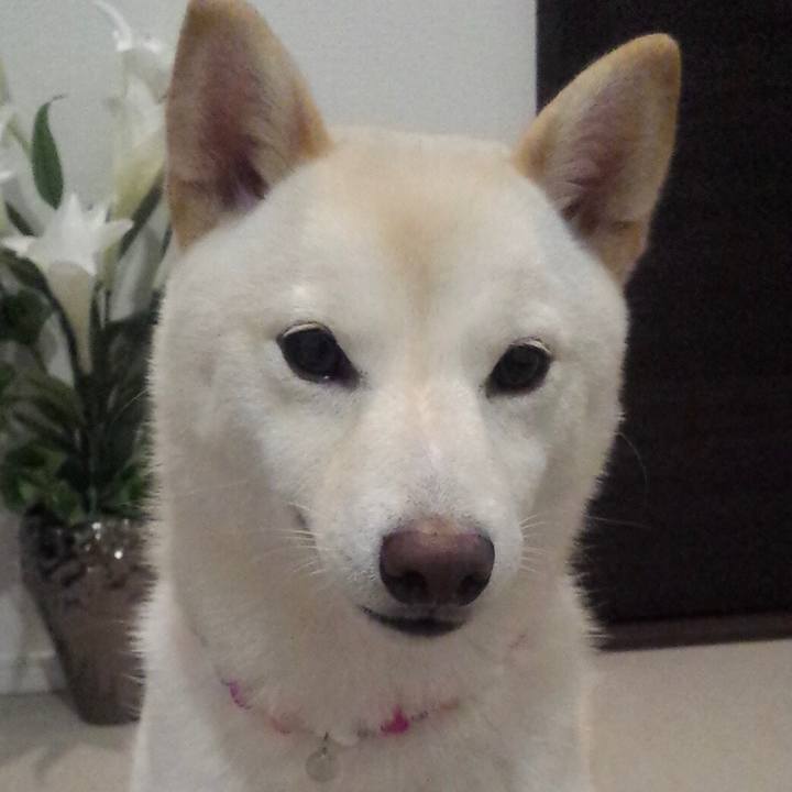 71dc04b6 7e97 44fa beca 8cfbf0cfc4a2 1646175641223