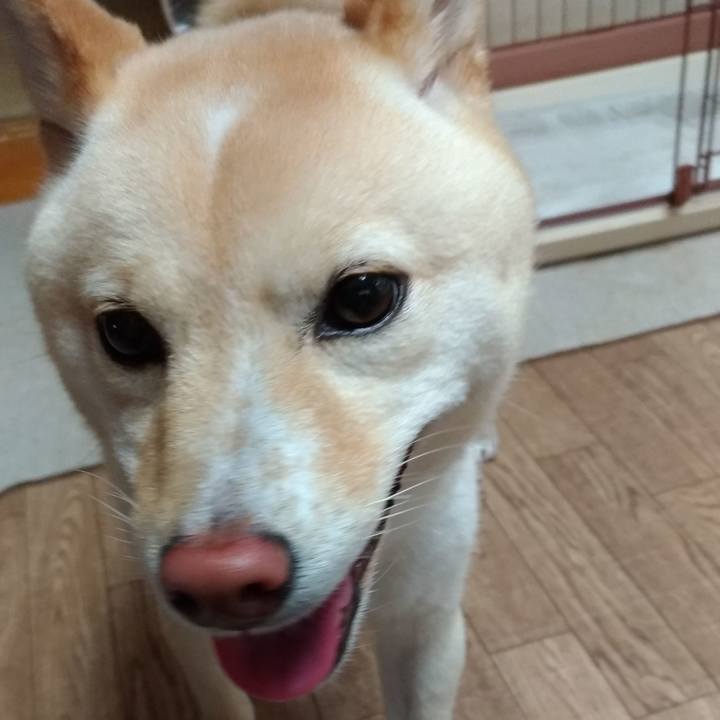 71dc0c23 43b5 423b 845b 693760757496 1562048363530