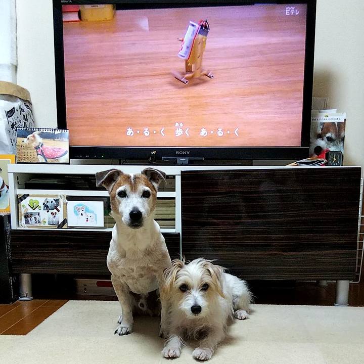 71dc32c7 d976 4cbe ba3d 3a481e01f1a5 1583792303009